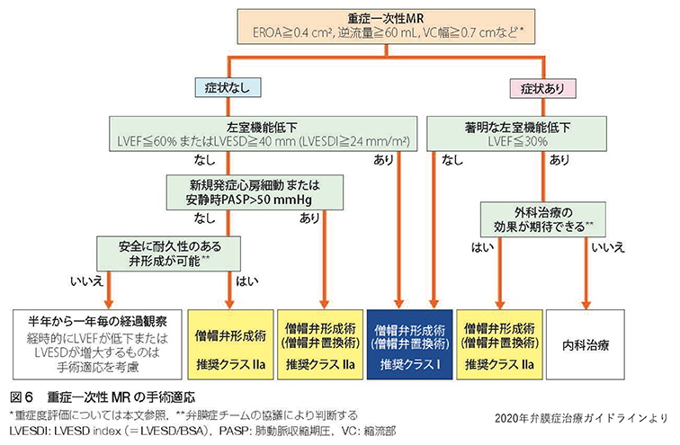 2020年弁膜症治療ガイドラインより